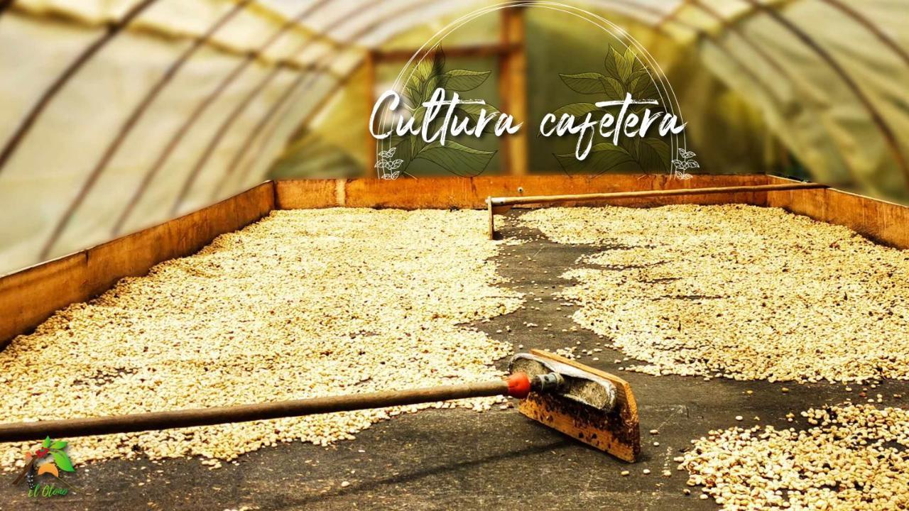 Finca Tradicional El Otono Pijao Kültér fotó