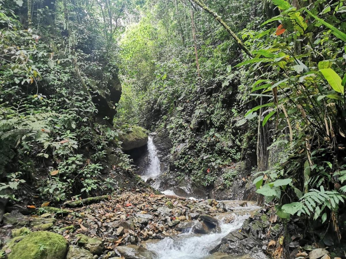 Finca Tradicional El Otono Pijao Kültér fotó