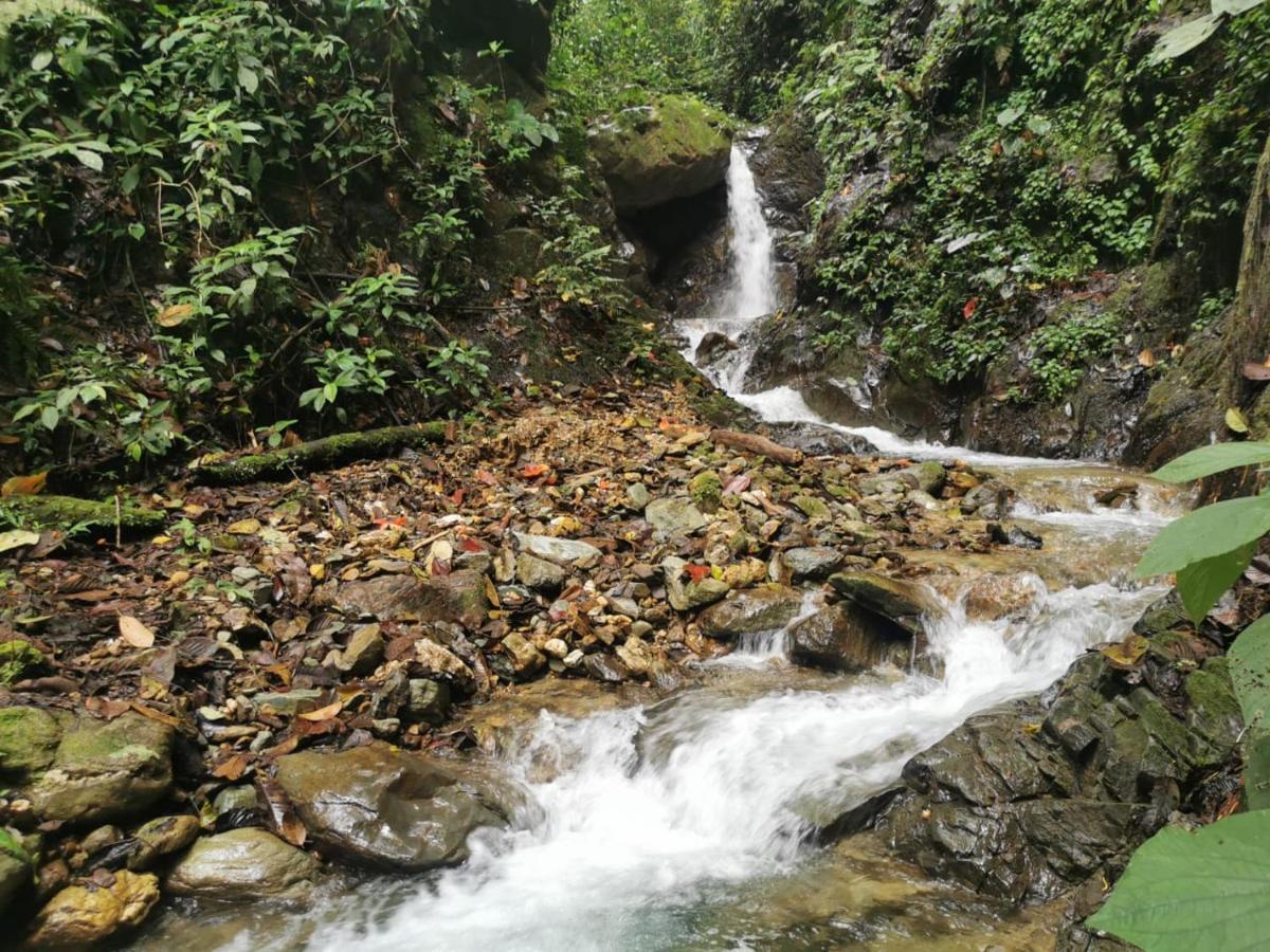 Finca Tradicional El Otono Pijao Kültér fotó