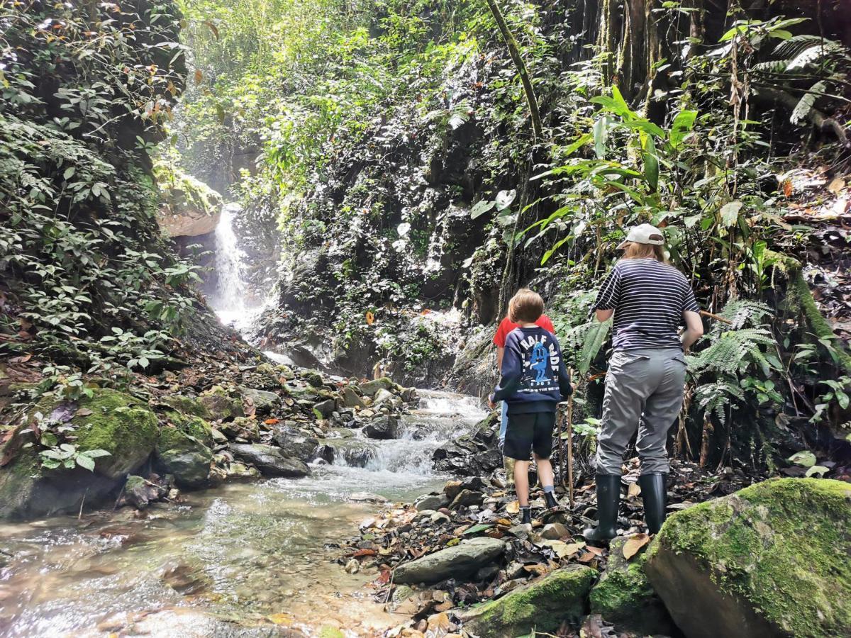 Finca Tradicional El Otono Pijao Kültér fotó