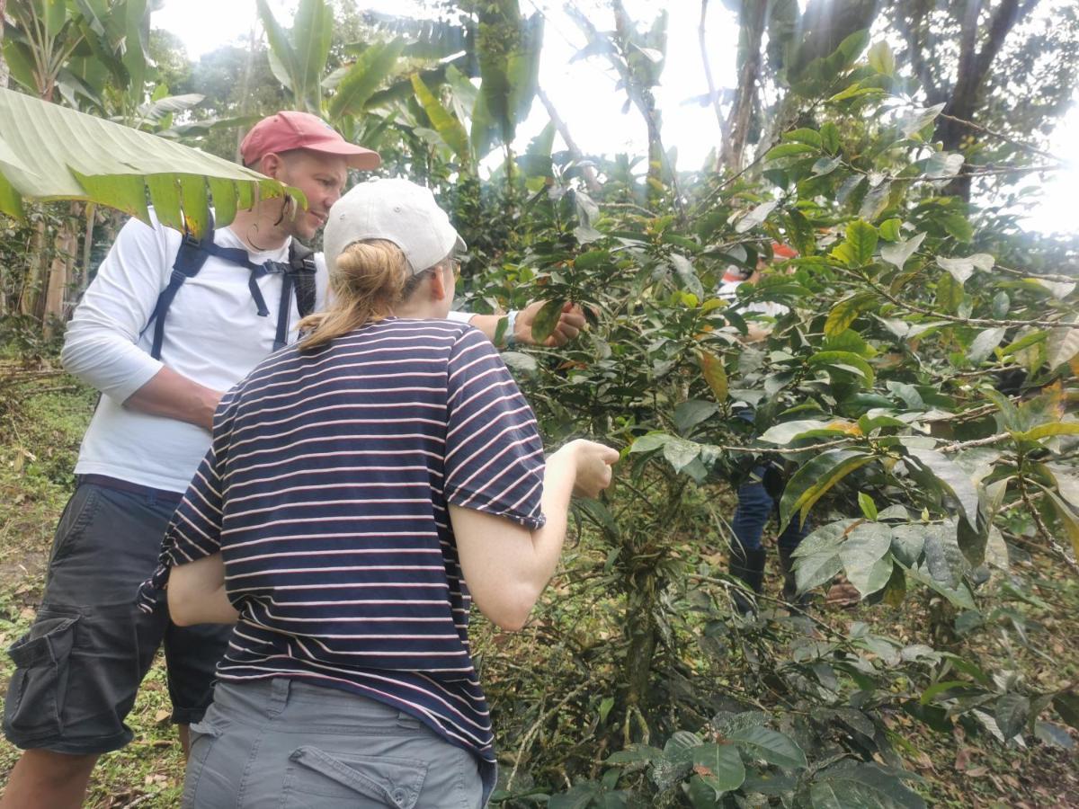 Finca Tradicional El Otono Pijao Kültér fotó