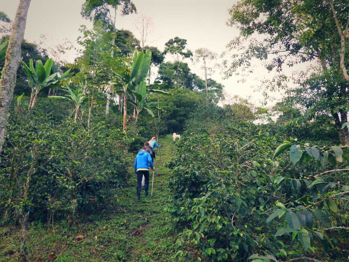 Finca Tradicional El Otono Pijao Kültér fotó