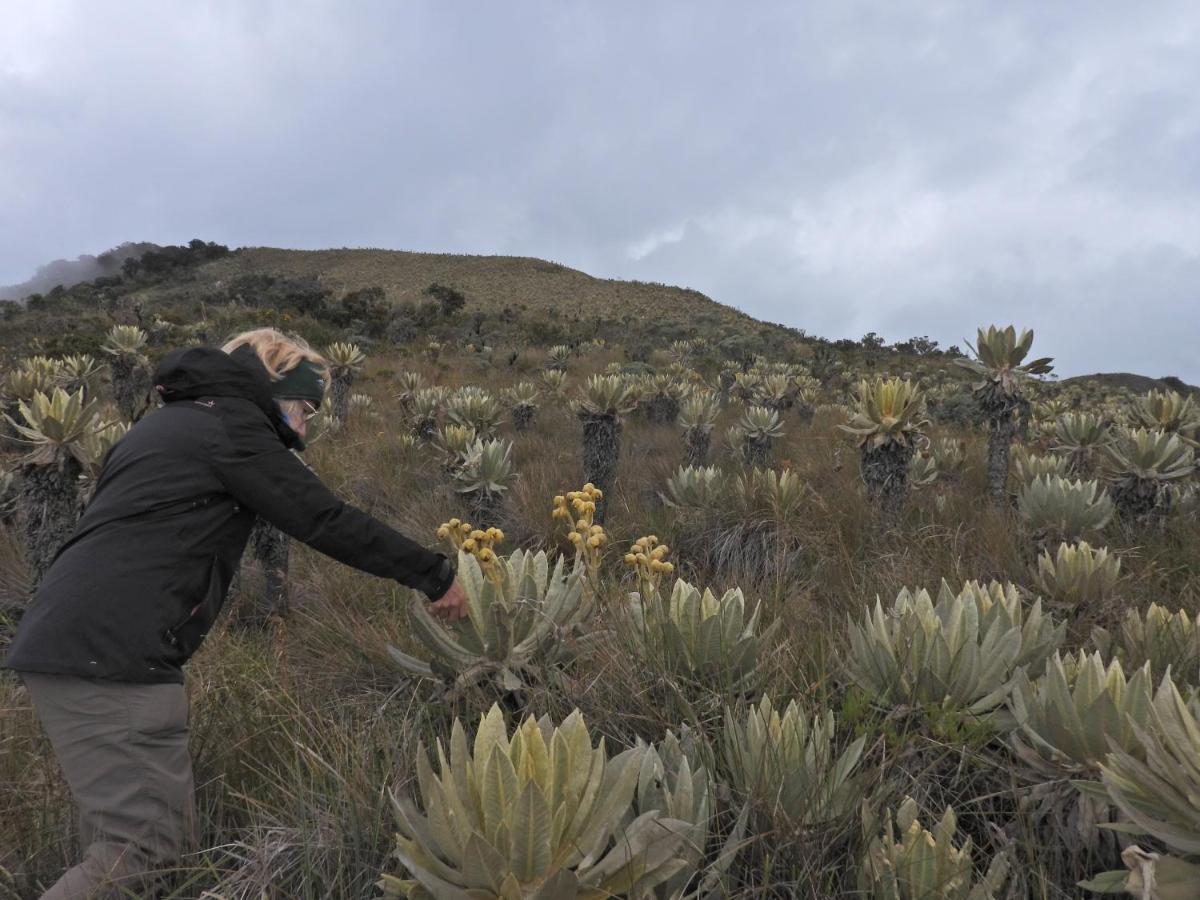 Finca Tradicional El Otono Pijao Kültér fotó