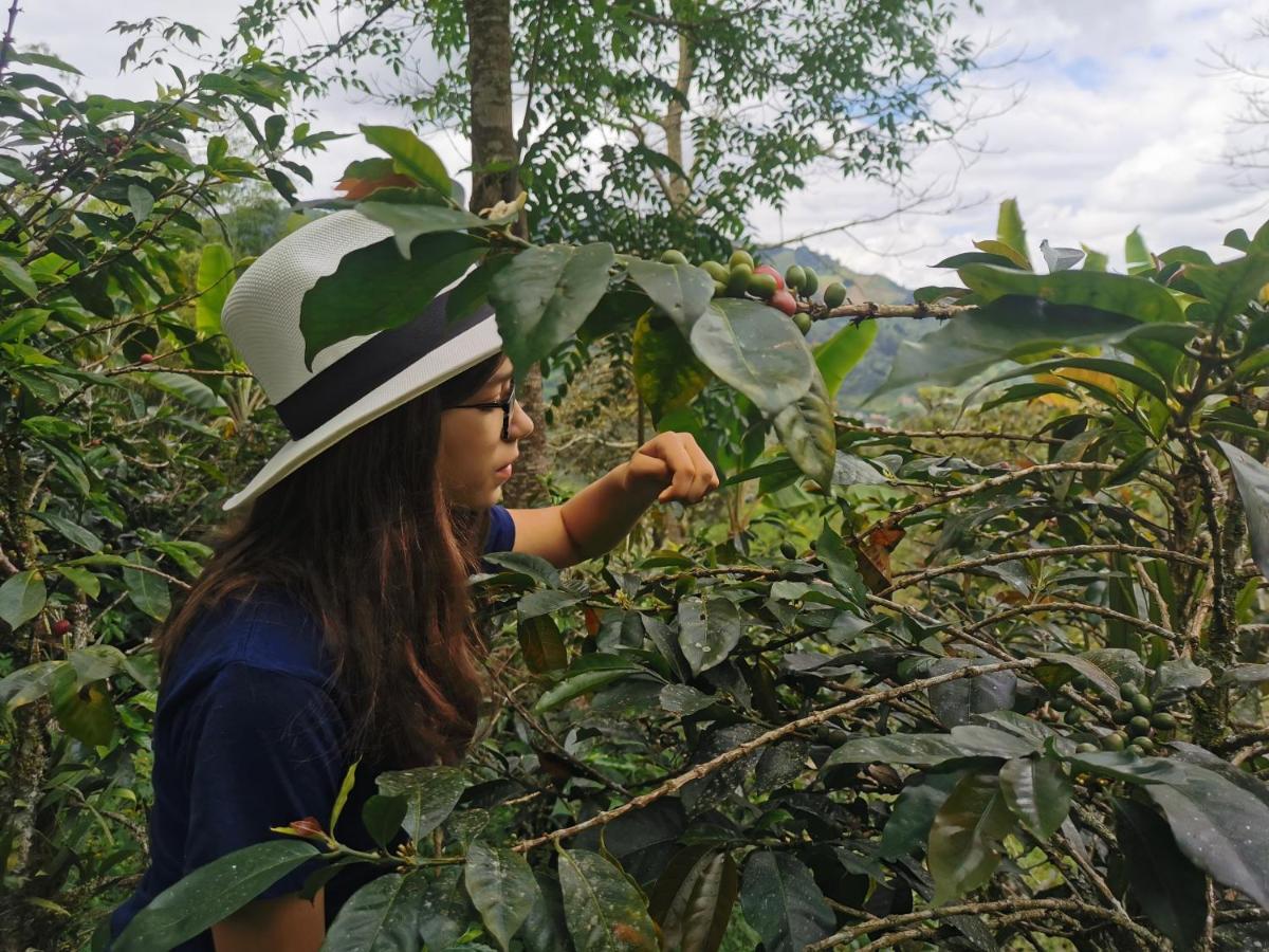 Finca Tradicional El Otono Pijao Kültér fotó
