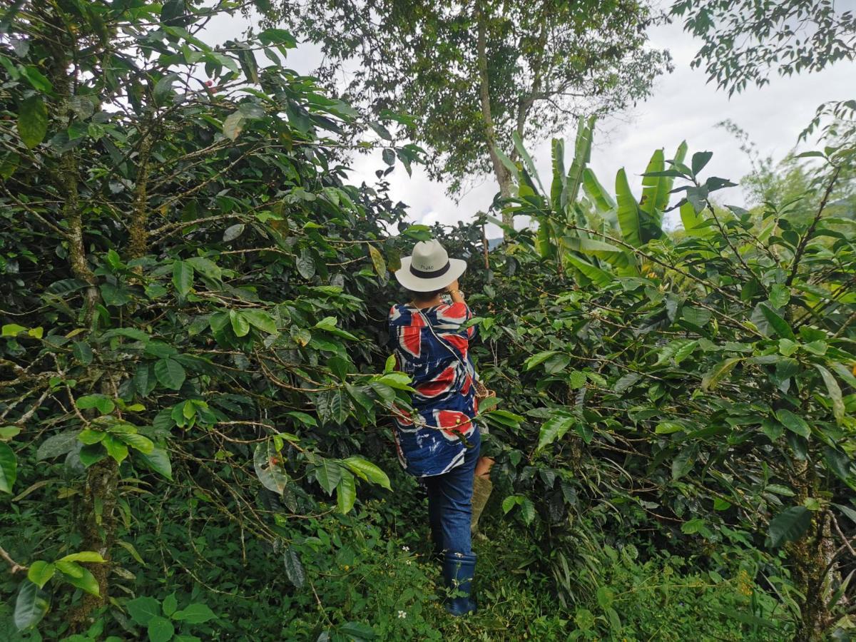 Finca Tradicional El Otono Pijao Kültér fotó